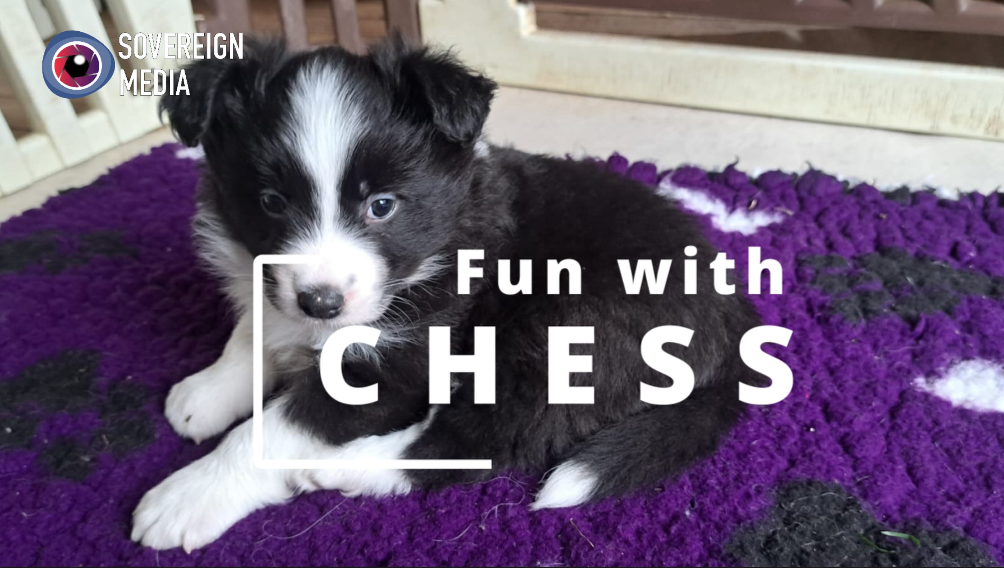 ES GEHT LOS! Fun with Chess Episode 1.