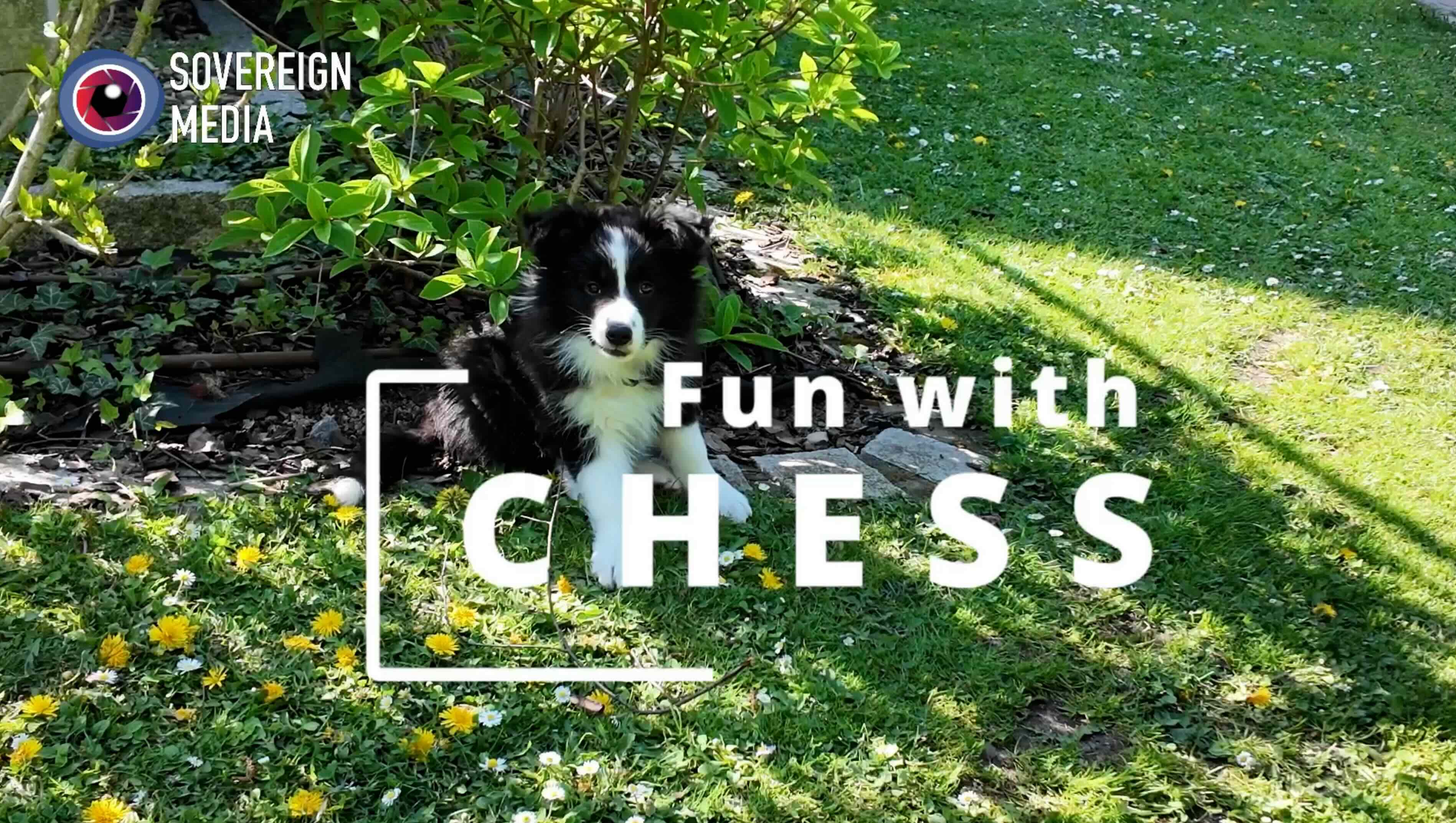 Fun with Chess Episode 2 vom 21.4.24