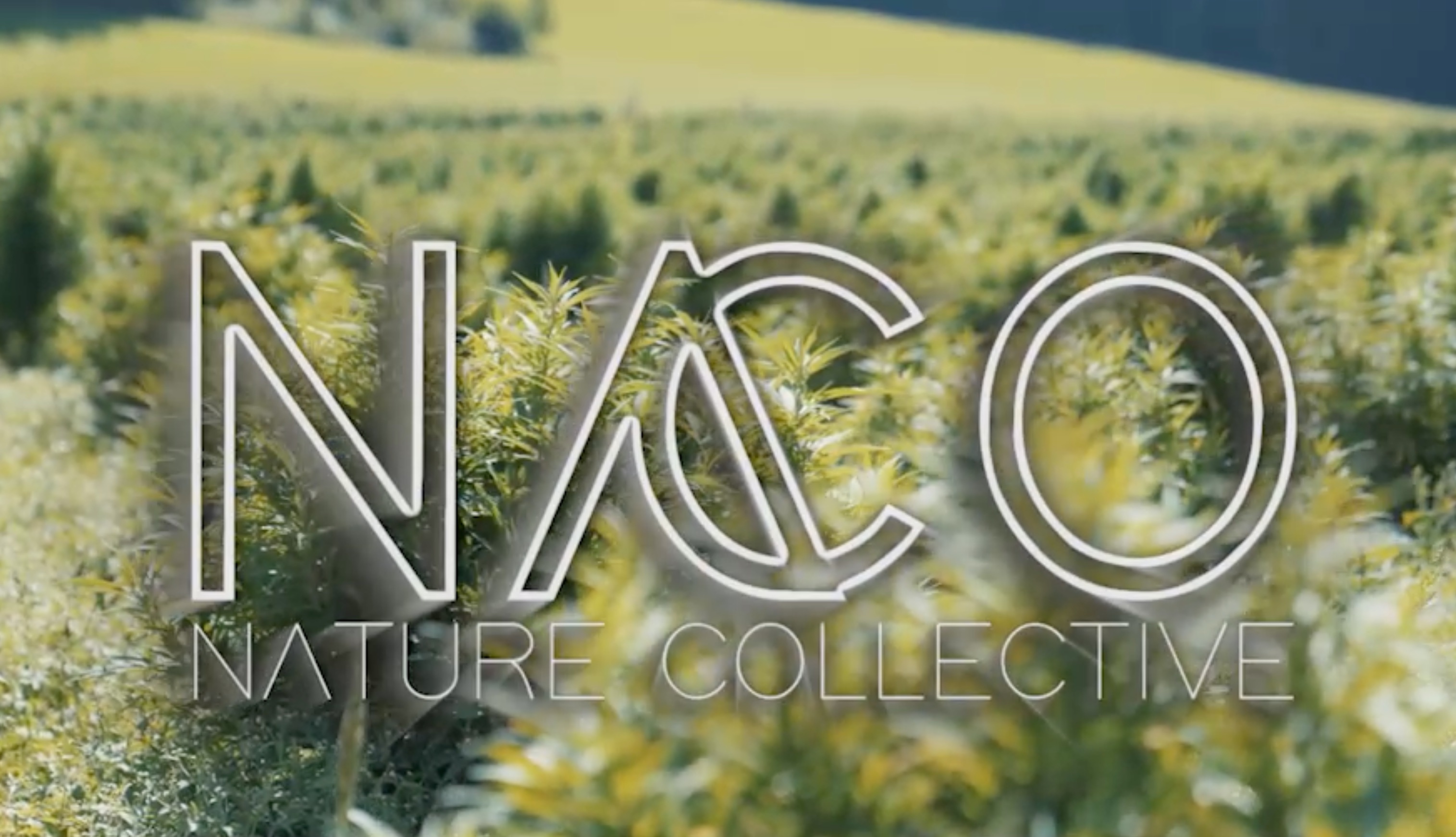 NACO – Naturhanfprodukte aus Österreich